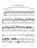 Rubinstein - The unblossomed flower, Op. 34 No.8