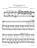 Viardot - Old man, fearful man