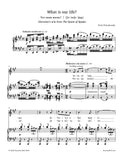 Tchaikovsky - What is our life? (Gherman's aria from Queen of Spades)