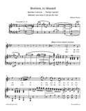 Glinka - Brothers, in blizzard (Sobinin's aria from A Life for the Tsar)
