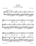 Viardot - Insomnia