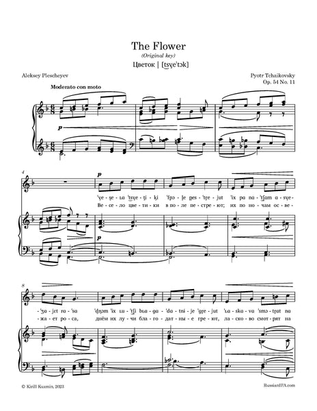 Tchaikovsky - The Flower, Op. 54 No.11