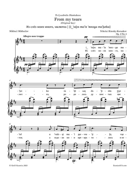 Rimsky-Korsakov - From my tears, Op. 2 No.4