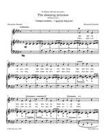 Borodin - The sleeping princess