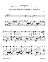 Rimsky-Korsakov - The floating chain of clouds is thinning, Op. 42 No.3