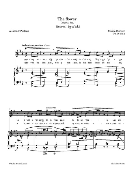 Medtner - The flower, Op. 36 No.2