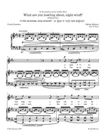 Medtner - What are you howling about, night wind?, Op. 37 No.5