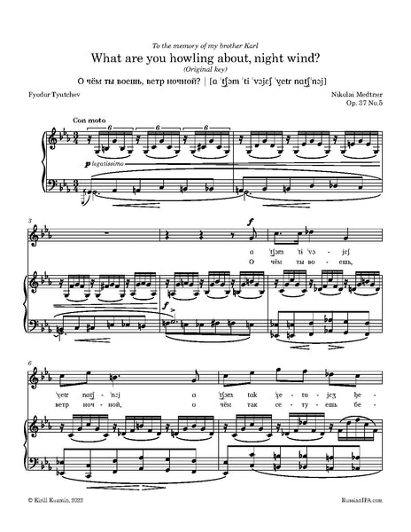Medtner - What are you howling about, night wind?, Op. 37 No.5