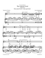 Rachmaninoff - The migrant wind, Op. 34 No.4